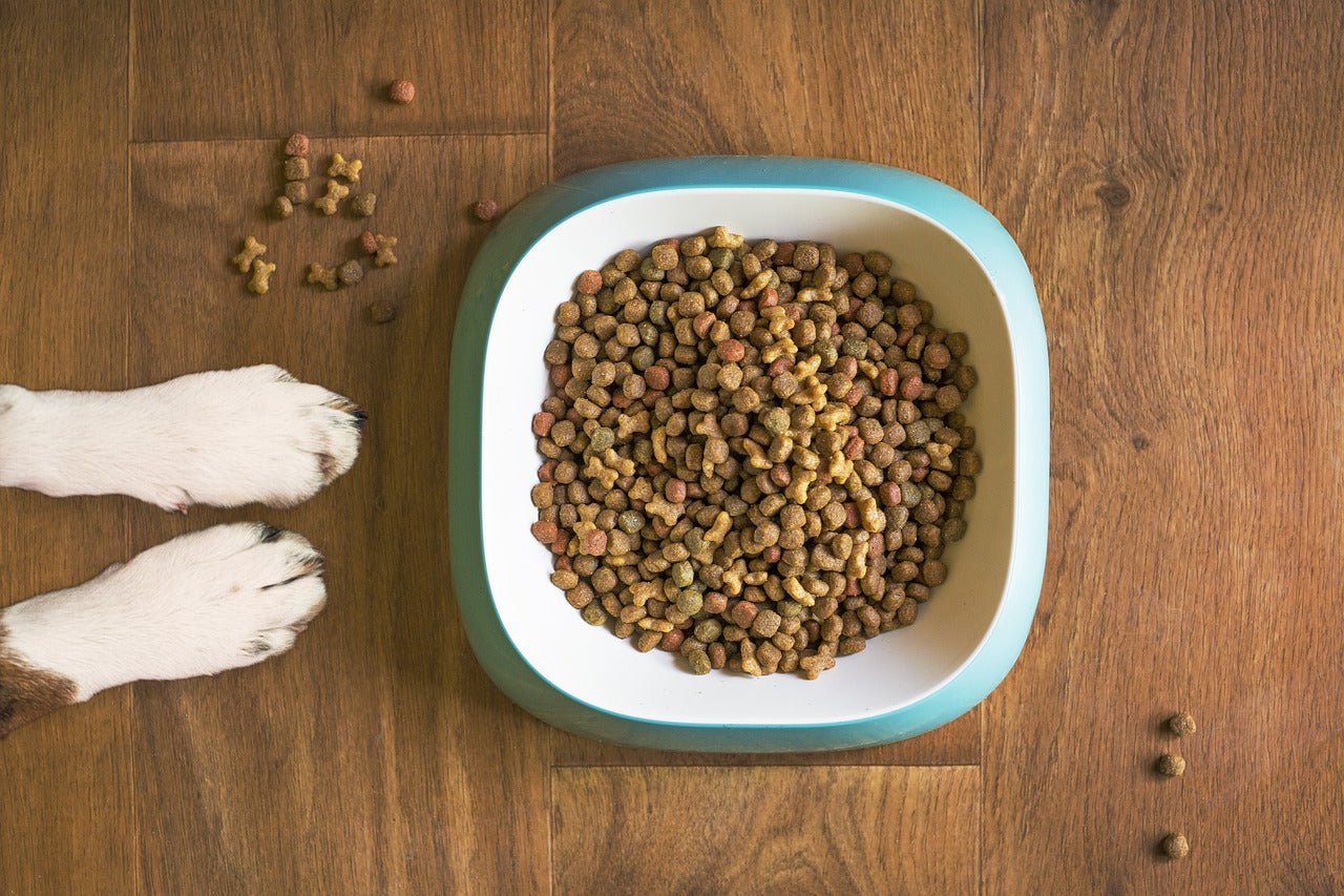 Pet Food Storage - How to Make this Cute DIY Solution - Real Creative Real  Organized
