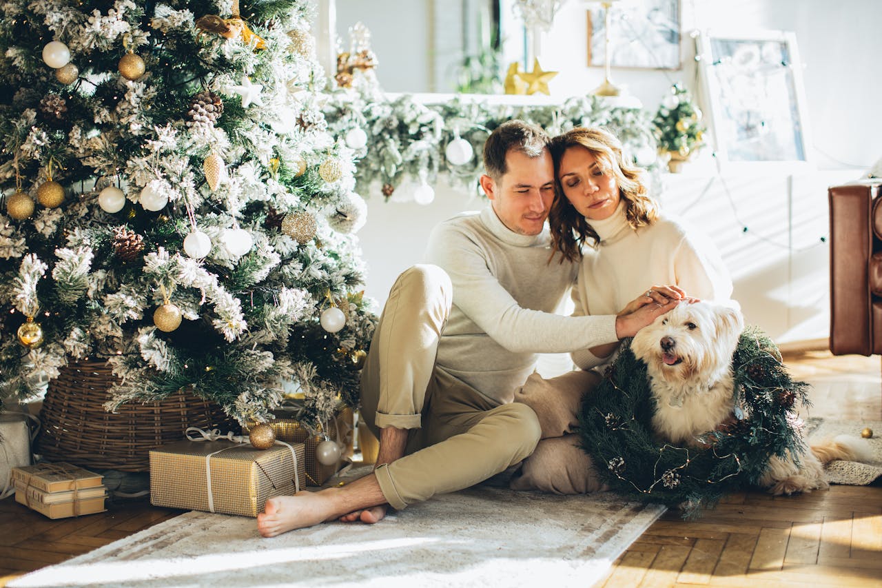 Are Christmas Trees Toxic To Dogs West Willow Are Christmas Trees Toxic To Dogs West Willow