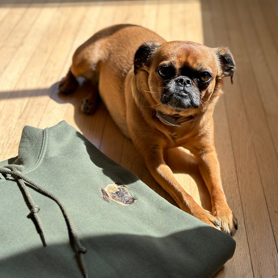 Custom Embroidered Pet Hoodie