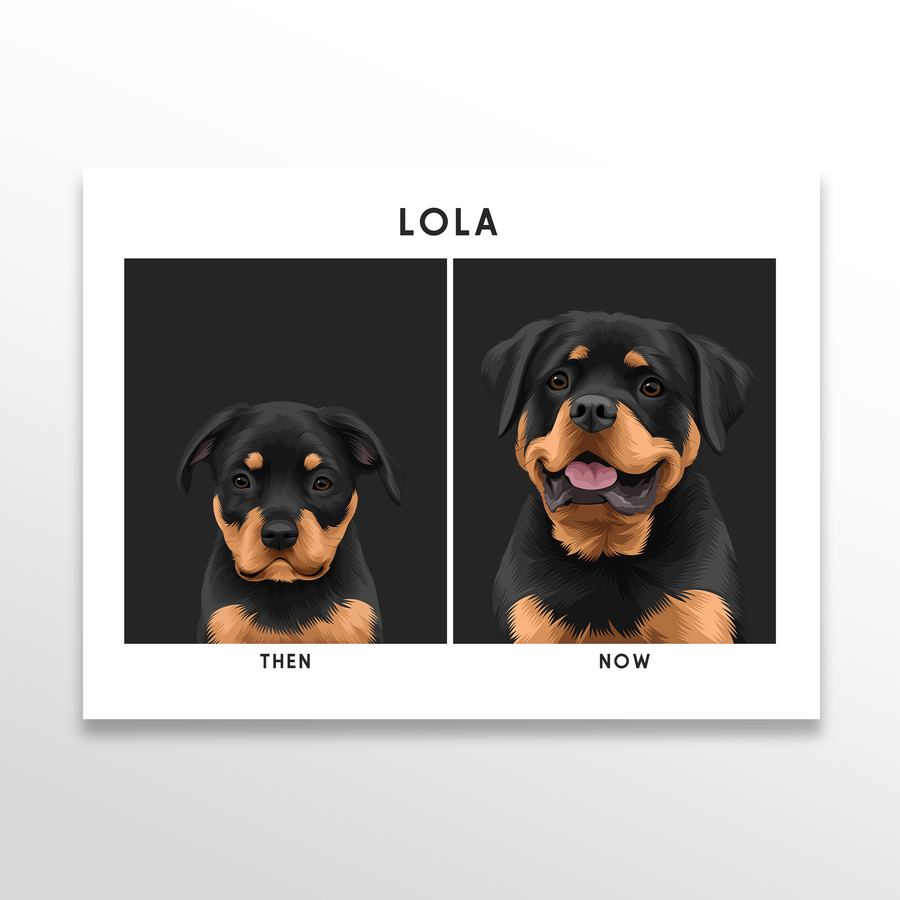 Custom Then & Now Pet Portrait