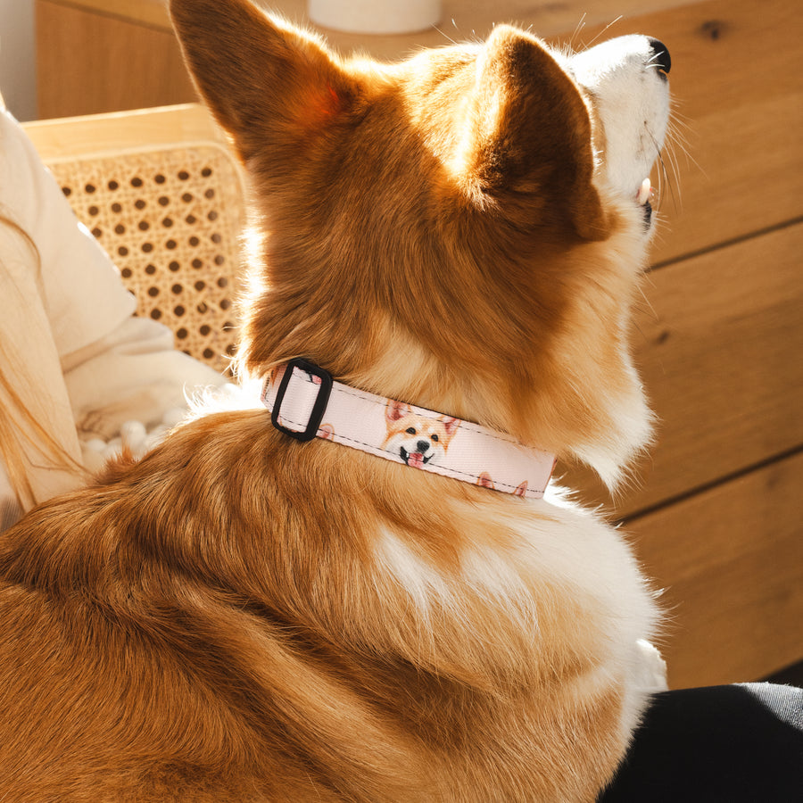 Custom Pet Portrait Collar