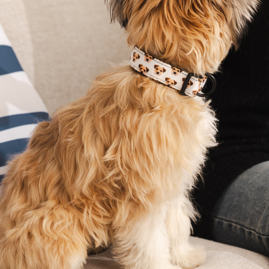 Custom Pet Portrait Collar
