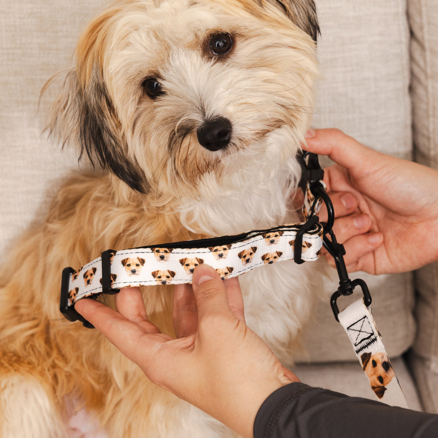 Custom Pet Portrait Collar