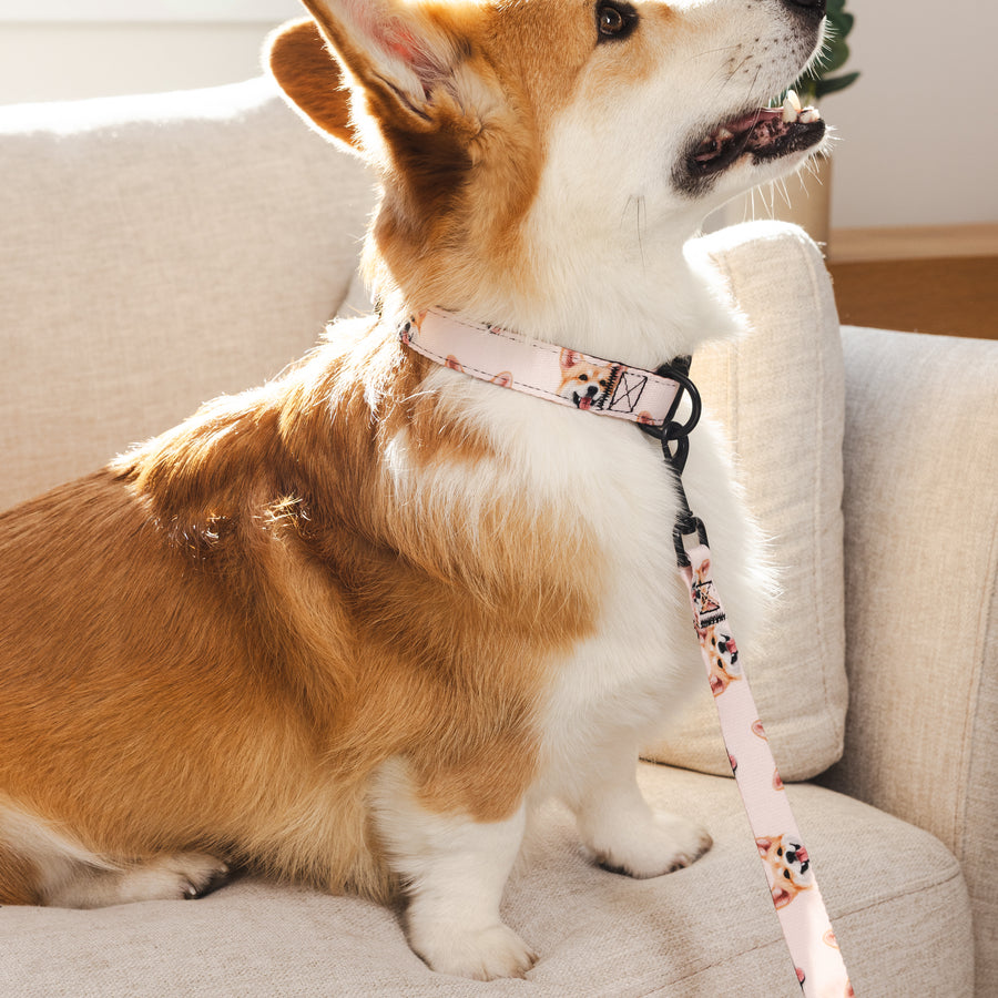 Custom Pet Portrait Collar