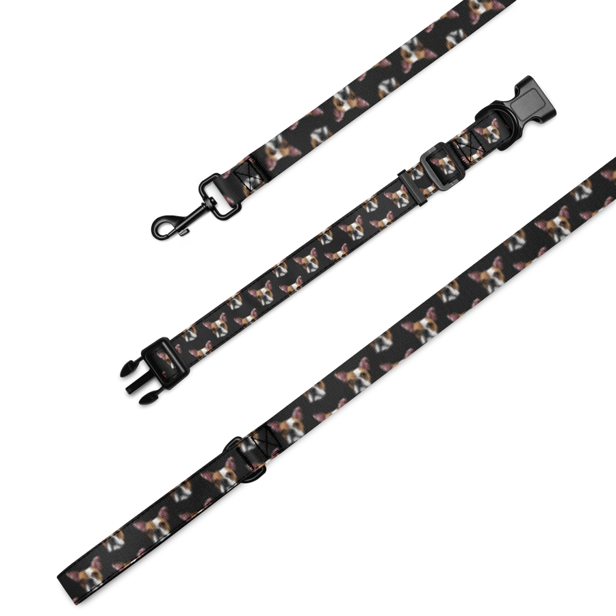 Custom Pet Portrait Collar