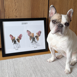 Custom Then & Now Pet Portrait