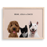 Custom Three Pet Portrait