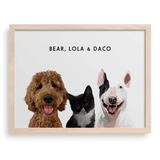 Custom Three Pet Portrait
