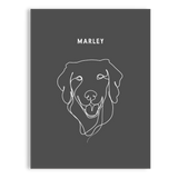 Custom One Pet Line Drawing Portrait