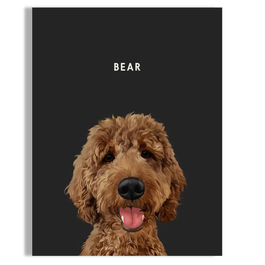 Pet Portrait - BarkBox
