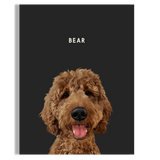 Pet Portrait - BarkBox