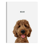 Pet Portrait - BarkBox