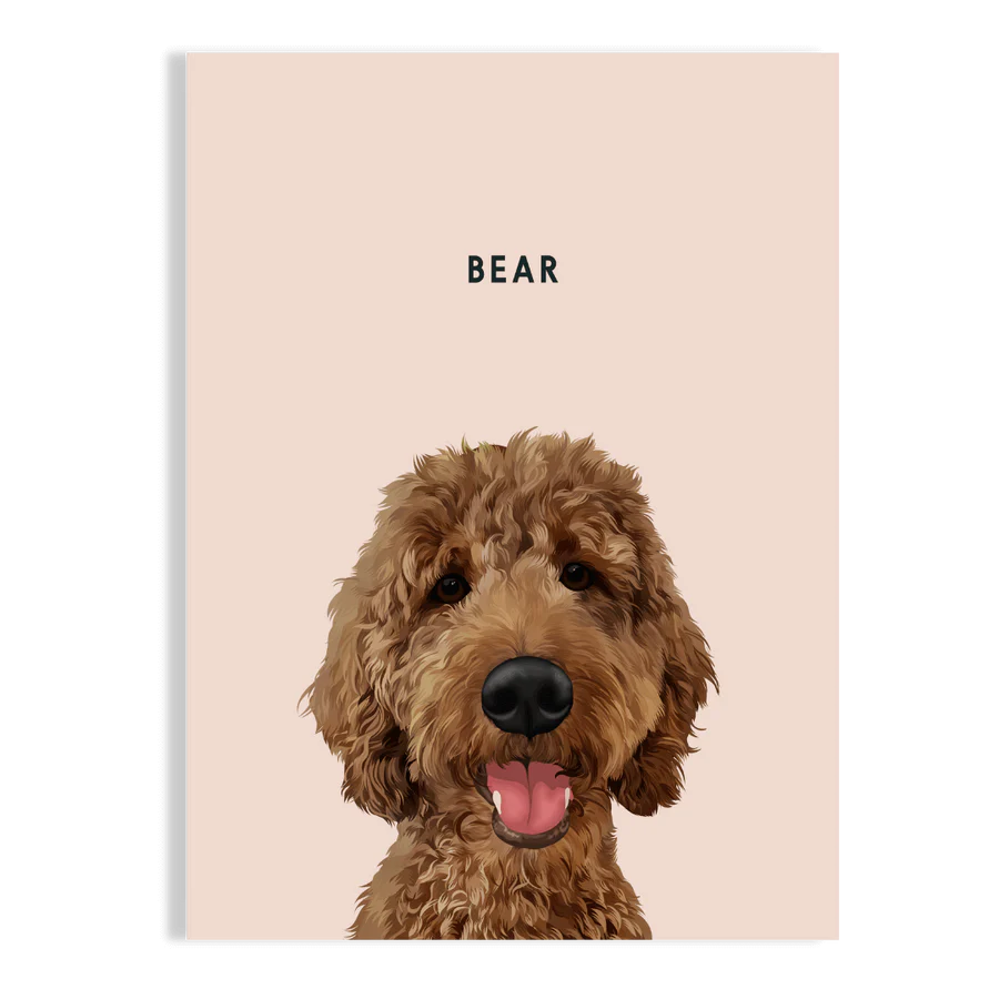 Pet Portrait - BarkBox