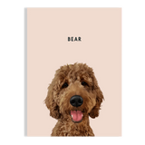 Pet Portrait - BarkBox