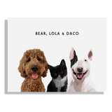 Custom Three Pet Portrait