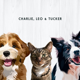 Custom Three Pet Portrait