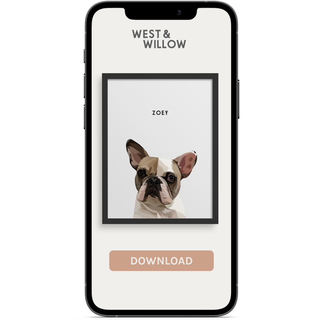 Custom Pet Bowl – West & Willow