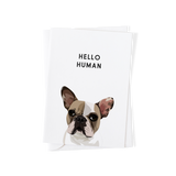 Pet Portrait Greeting Cards