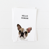 Pet Portrait Greeting Cards