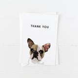 Pet Portrait Greeting Cards