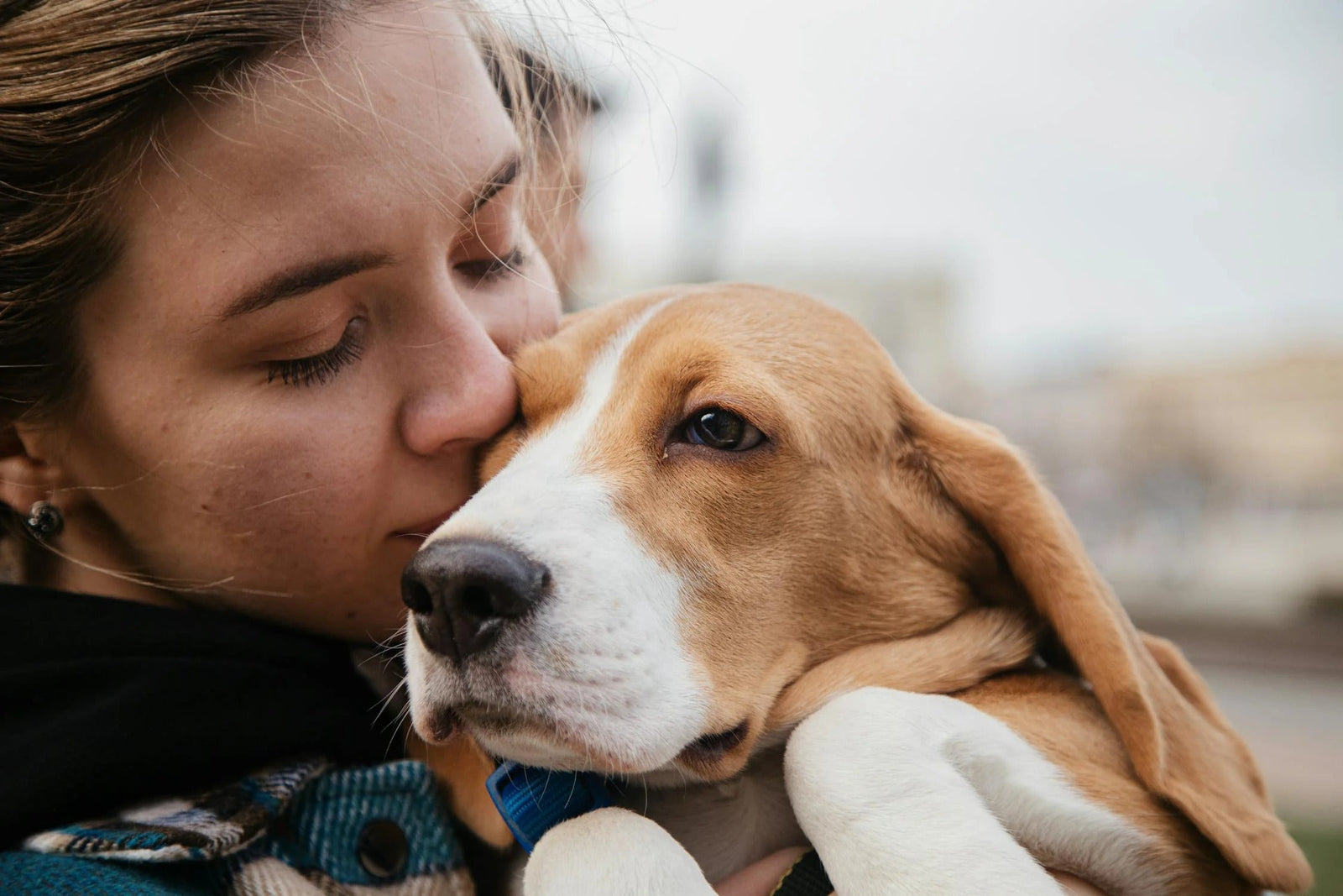 Do Dogs Really Understand Kisses?