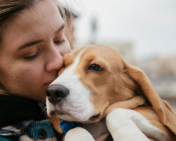 Do Dogs Really Understand Kisses?