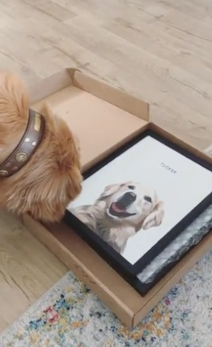 Custom Dog Canvas Art: From Photo to Masterpiece