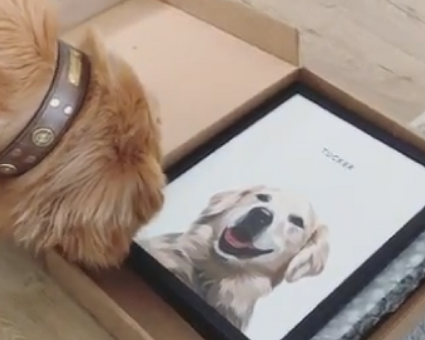 Custom Dog Canvas Art: From Photo to Masterpiece