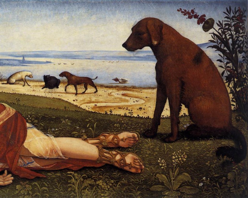 The Legendary Dogs in Mythology