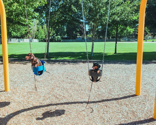 Summer Fun for Dog Dads (Beat the Heat Activities)