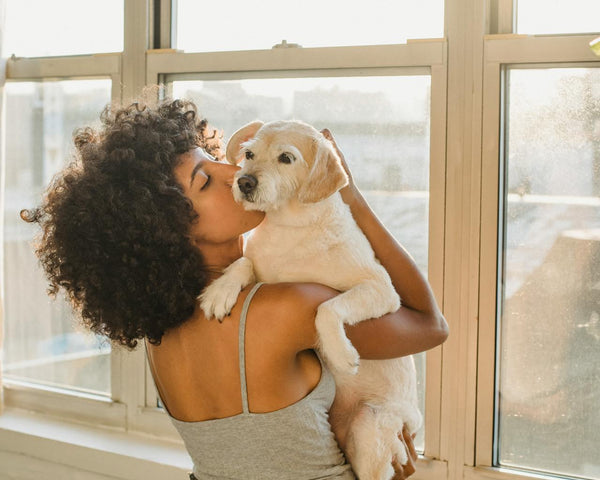 What to do when your dog passes away
