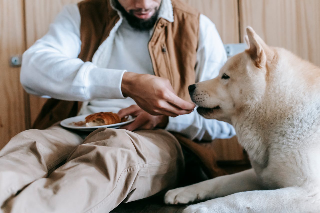 Do Dogs Need More Food in Winter