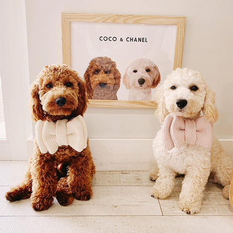 The Most Thoughtful Dog Owner Gifts Under $100