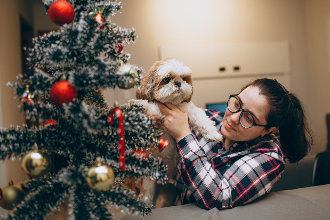 9 Ways to Pet-Proof Your Christmas Tree (Cats & Dogs)