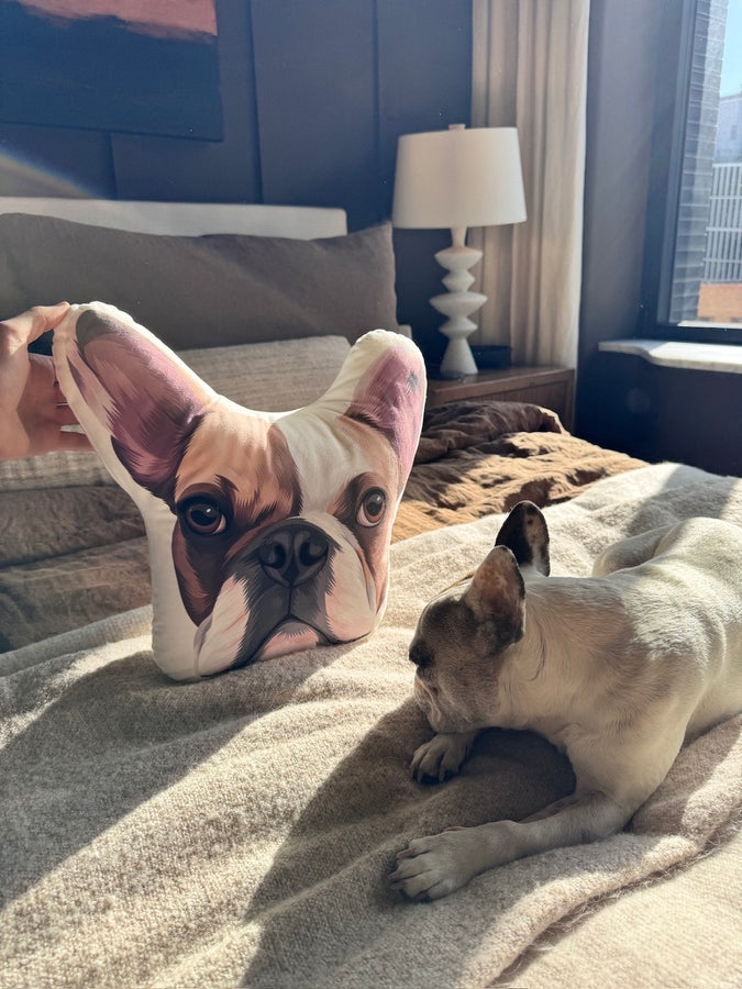 Custom Shaped Pet Portrait Pillows