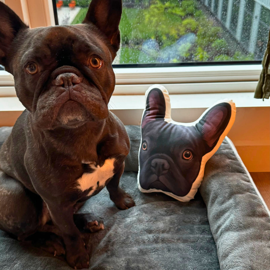 Custom Cut Pet Portrait Pillows