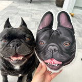 Custom Shaped Pet Portrait Pillows