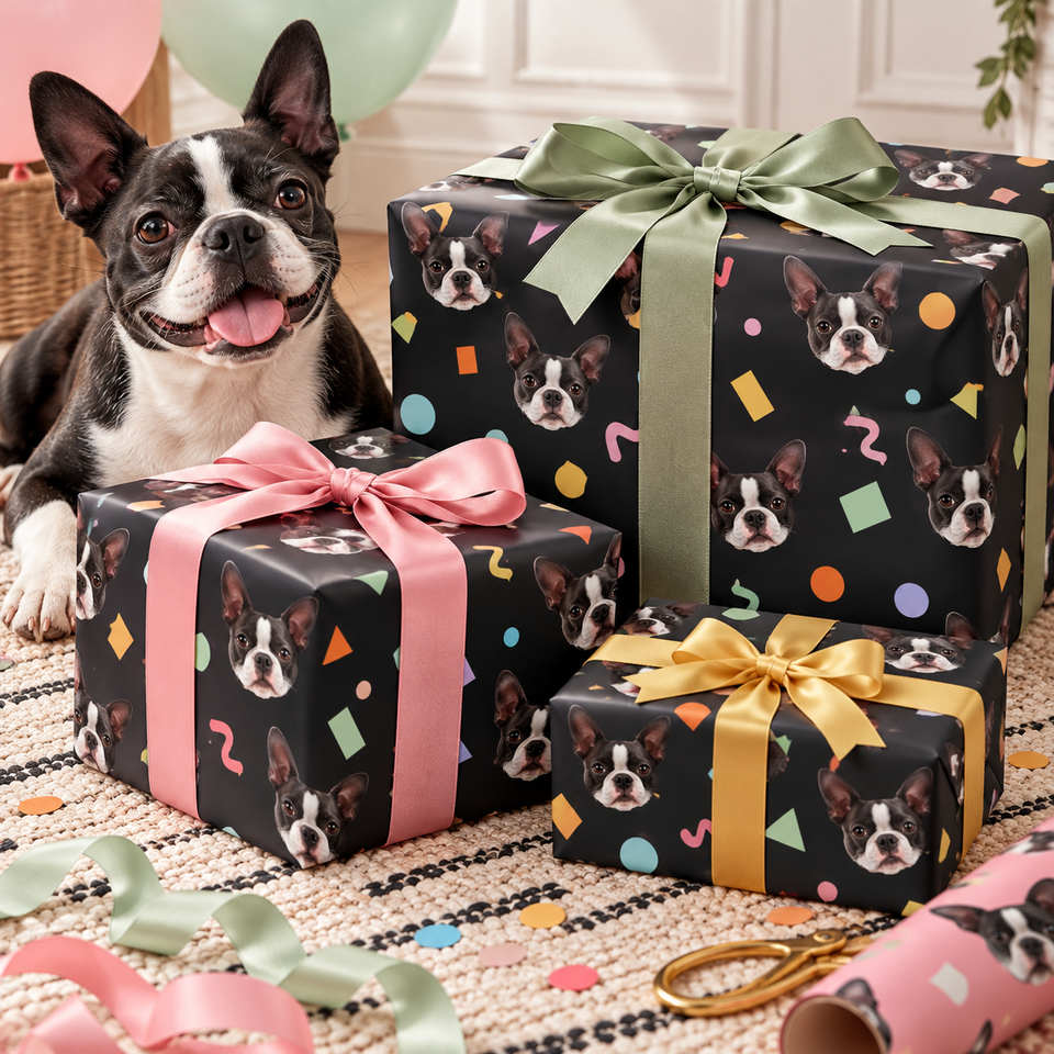 Three Boston Terrier-themed gift boxes wrapped in black wrapping paper with colorful confetti and dog face prints, tied with pink, yellow, and sage green ribbons, with a Boston Terrier dog sitting behind them on a patterned rug.