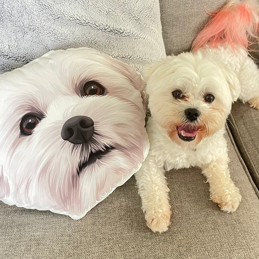 Custom Shaped Pet Portrait Pillows