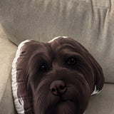 Custom Shaped Pet Portrait Pillows