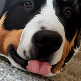 Custom Shaped Pet Portrait Pillows