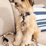 Custom Pet Portrait Collar & Leash