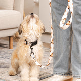 Custom Pet Portrait Collar & Leash