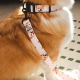 Custom Pet Portrait Collar & Leash