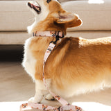 Custom Pet Portrait Collar & Leash