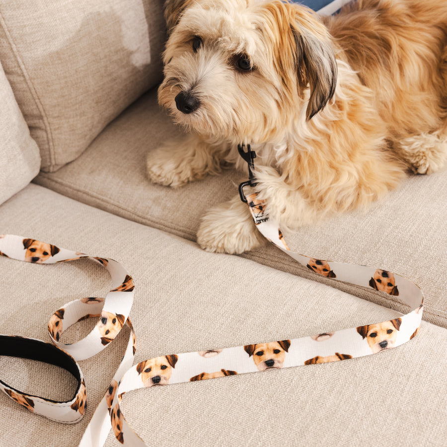 Custom Pet Portrait Leash