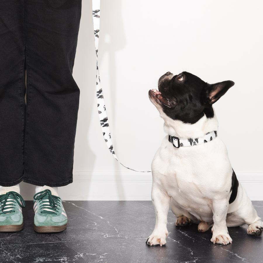Custom Pet Portrait Collar & Leash