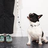 Custom Pet Portrait Collar & Leash