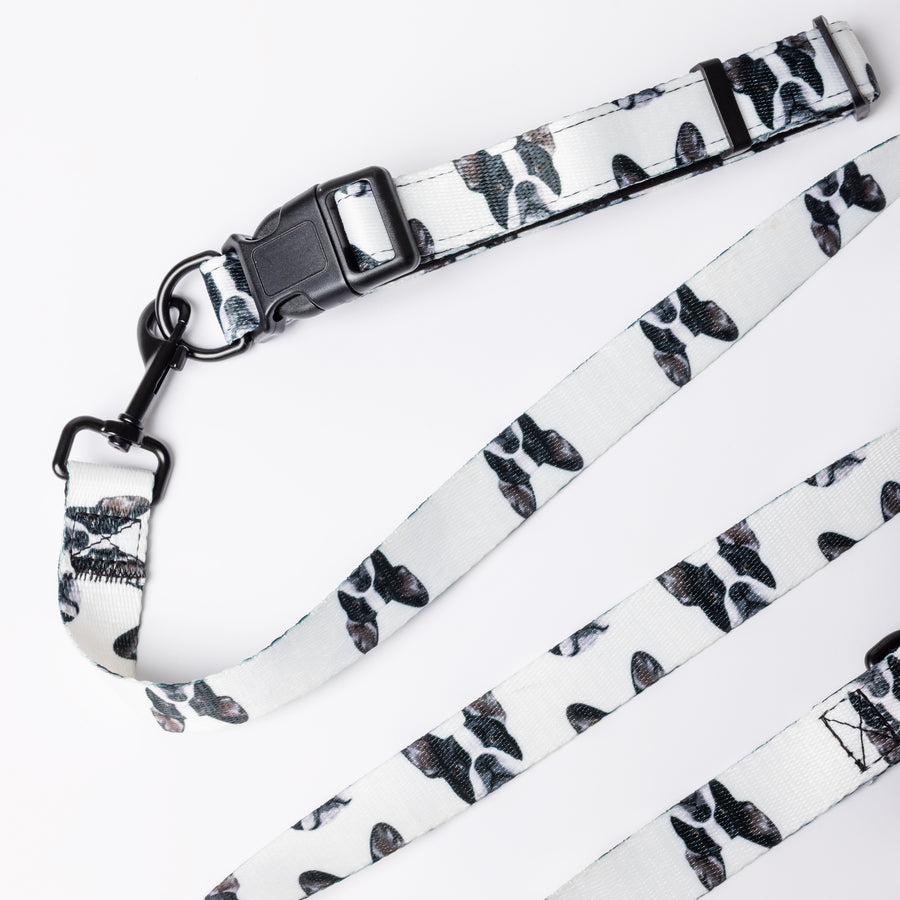 Custom Pet Portrait Collar & Leash