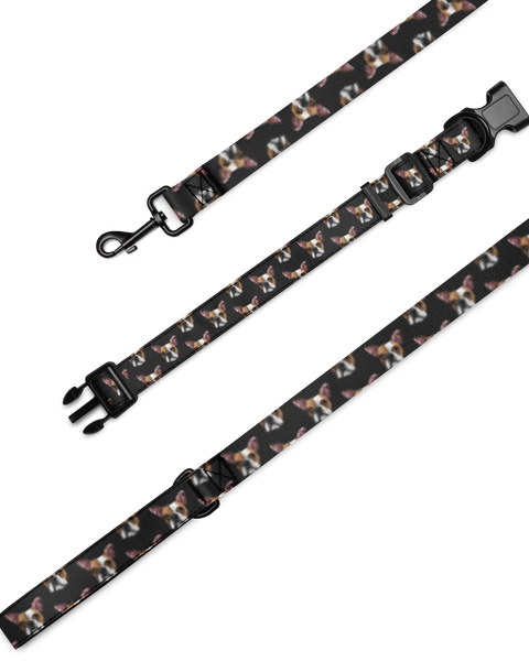 Custom Pet Portrait Collar